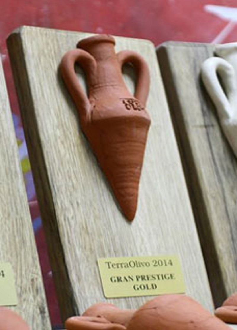 Concurso Terraolivo